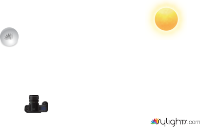 dshvsbn by Guest User