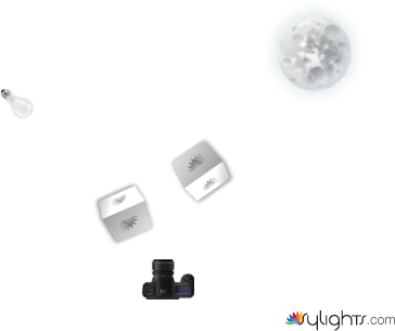 lights by Guest User