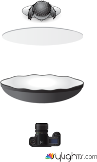 Beauty by Guest User