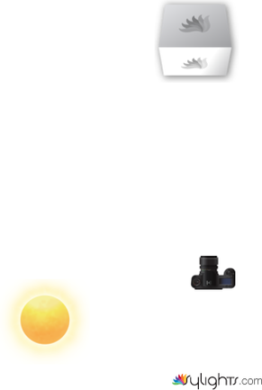 inferred by Guest User