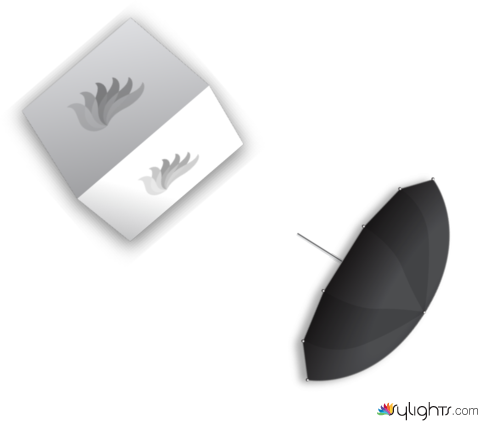 How We Roll by Guest User