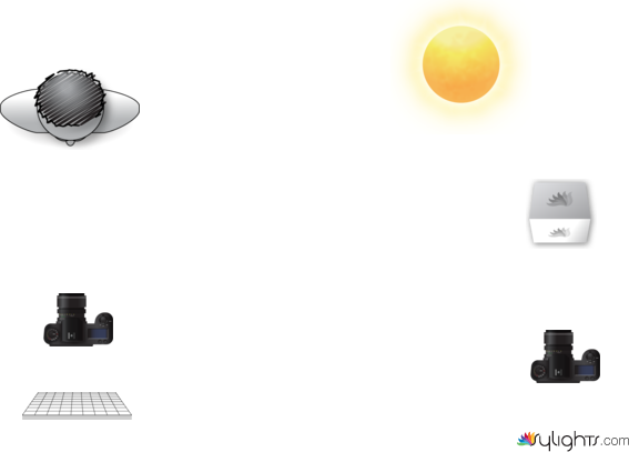 scn 12 by Guest User