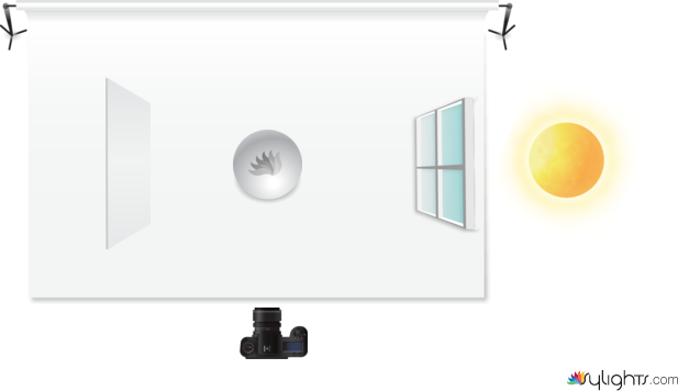 A&D ALE by Guest User