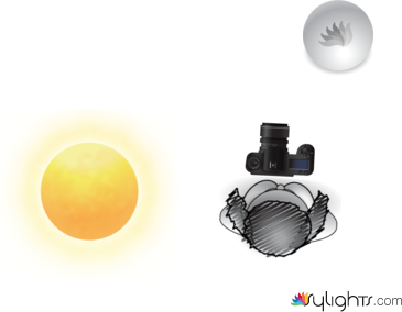 MNJNJJ by Guest User