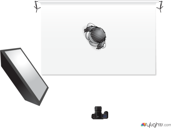 t shirtr by Guest User