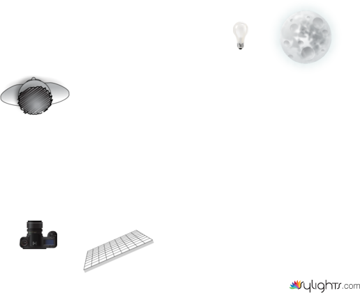 scn 25 by Guest User