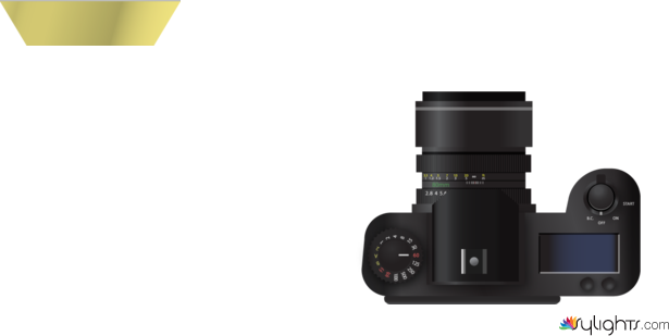 planta by Guest User