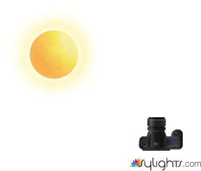 branch by Guest User