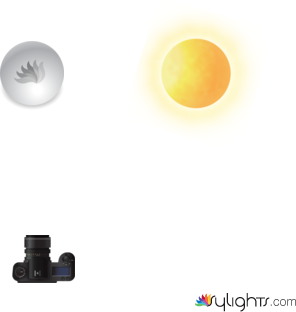 NH horse  by Guest User