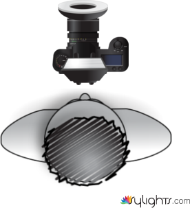 serial by Guest User