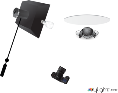 Diagrama by Guest User