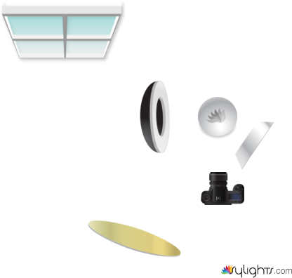 comida by Guest User