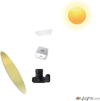 transpa by Guest User