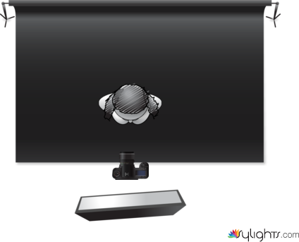 rembrandt by Guest User