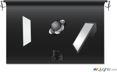 primera by Guest User