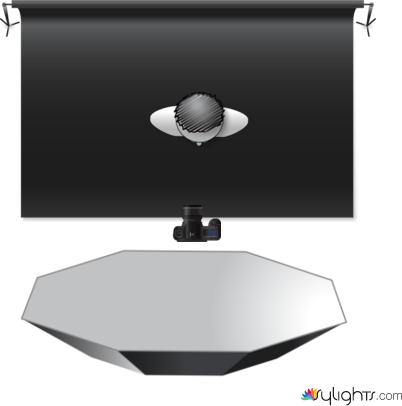 Butterfly by Guest User