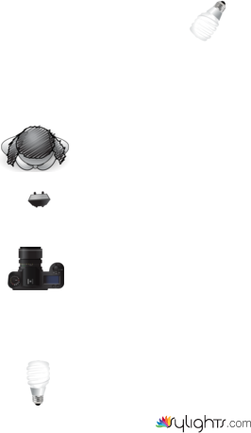 escena 2 by Guest User