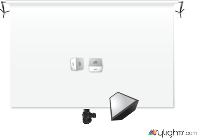 Insectos Rembrant by Guest User