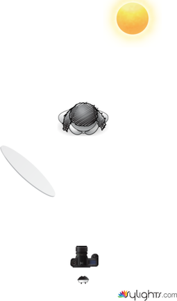 Image 3 by Guest User