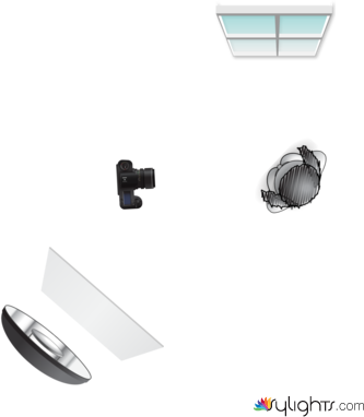 Cuarto by Guest User