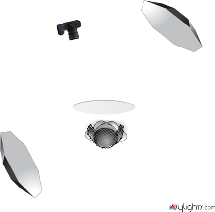 2021CUAPHI402As01PortraitLtSetup1 by Guest User