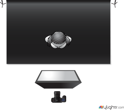 butterfly by Guest User