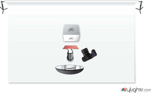 BODEGÓN by Guest User