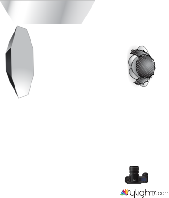 desnudo by Guest User