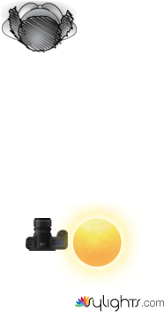 catorce by Guest User