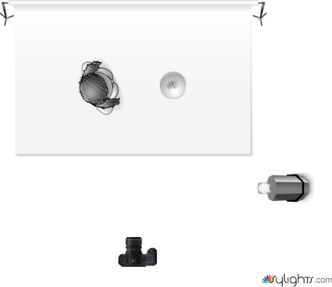 ykyyty by Guest User