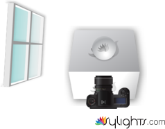 food 1 by Guest User