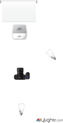 flowers by Guest User