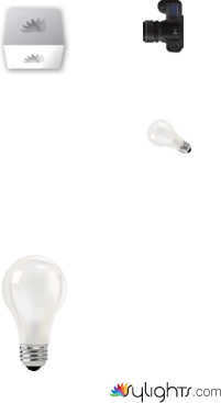 Yashica by Guest User