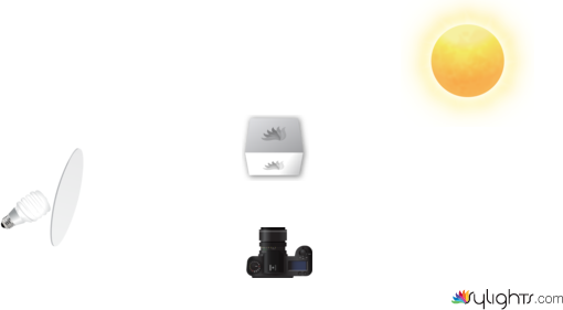 photo 2  by Guest User