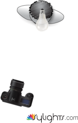 Primer Plano by Guest User