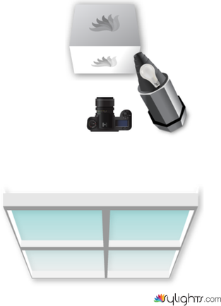 escena 1 by Guest User