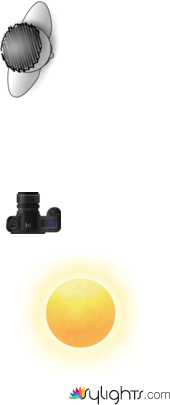 Plano Medio by Guest User