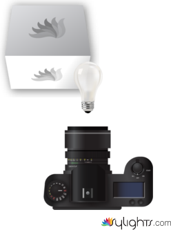 escena 1 by Guest User