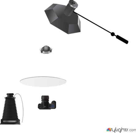 asdesaea by Guest User