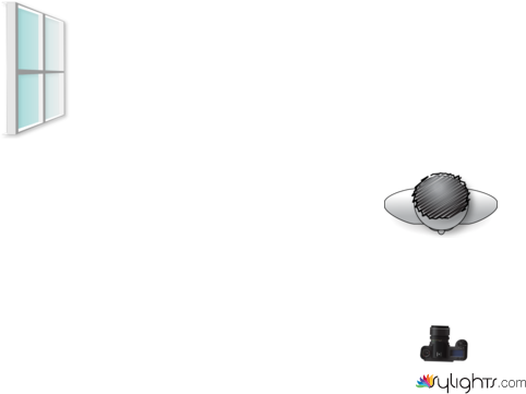 LUZ DURA by Guest User