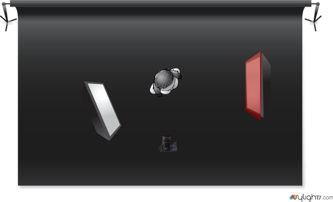 fwnfing by Guest User