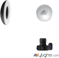 final planta by Guest User