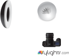 final planta by Guest User