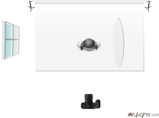 2021_14_9_WR 1ft Setup by Guest User