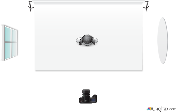 2021_14_9_WR 3ft Setup by Guest User