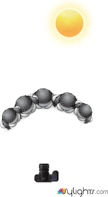 wedding by Guest User