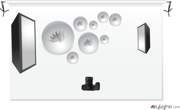 Image 4 by Guest User