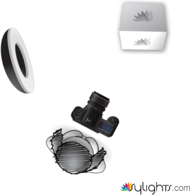 bodegon2 by Guest User