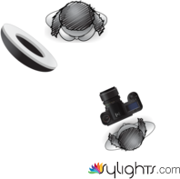 planta by Guest User