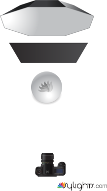 class 2 by Guest User